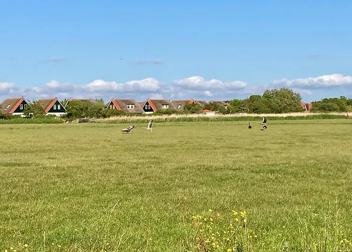 Buitenplaats 47 빌라